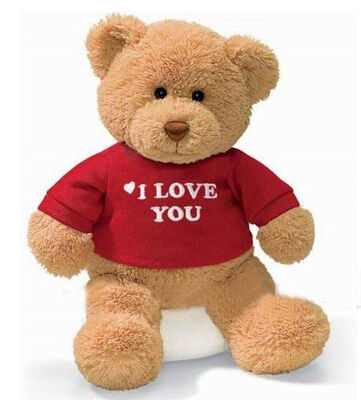 Personalized Plush Toys Three Brown Family Teddy Bear With T shirt